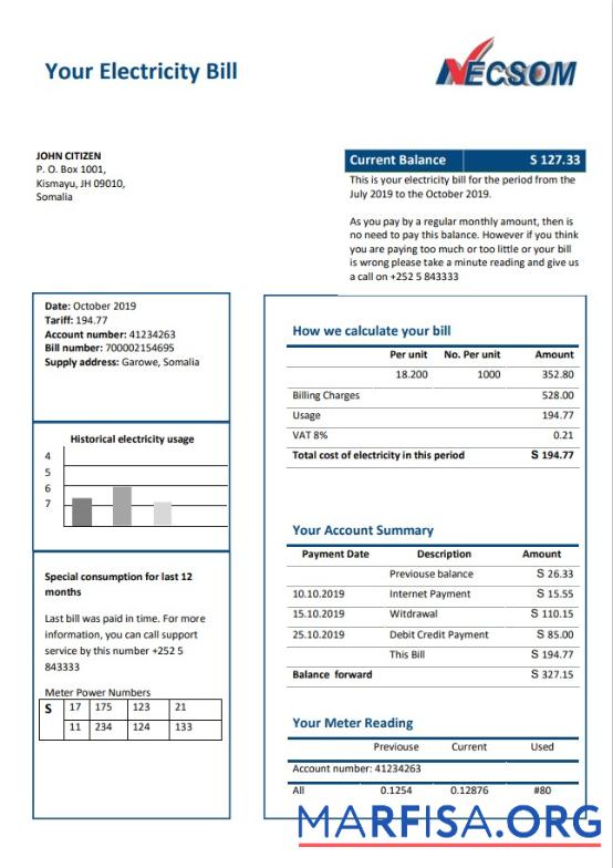 Realistic Somalia NESCOM Company electricity utility bill template in Word and PDF format
